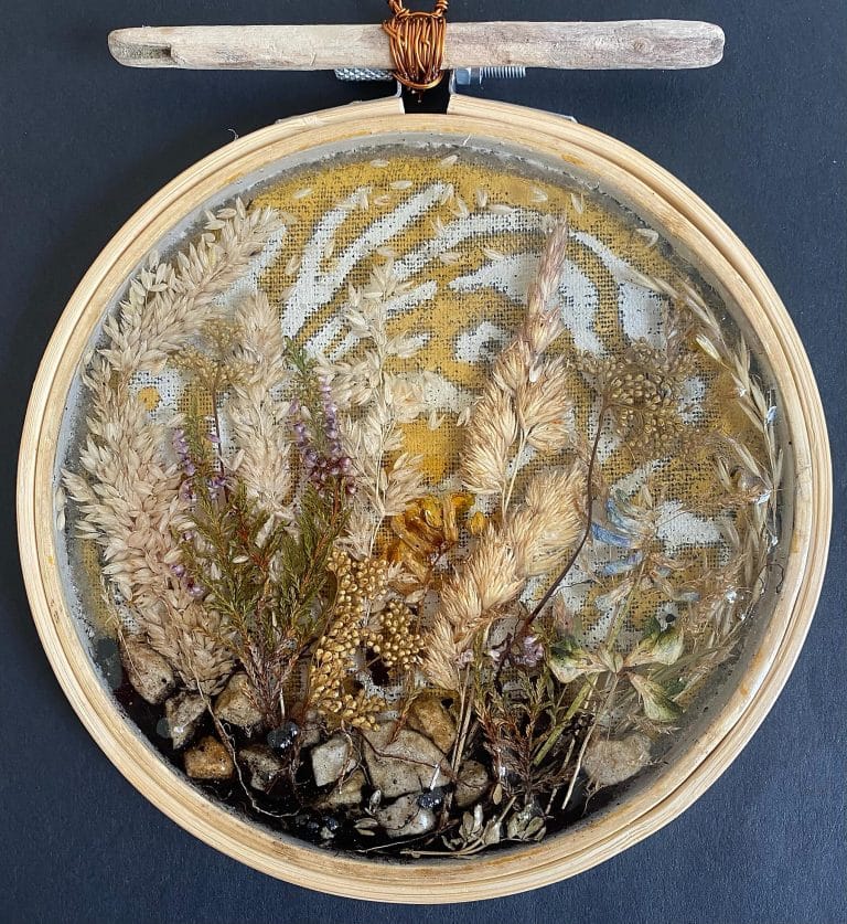 Oxylophytes 1